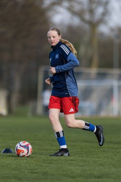 Bild 36 - wBJ Hamburger SV - Eimsbuettler TV : Ergebnis: 4:0